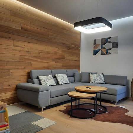 Apartment Bella Vista By Mountain Ways Loučná pod Klínovcem Εξωτερικό φωτογραφία